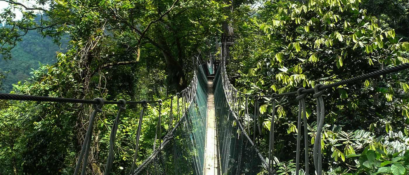 Kuala Lumpur to Taman Negara