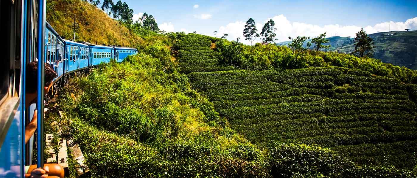 Kandy to Nuwara Eliya