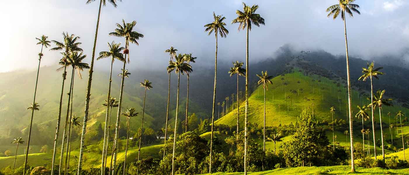 Immerse Yourself in Colombia: An Authentic Travel Guide
