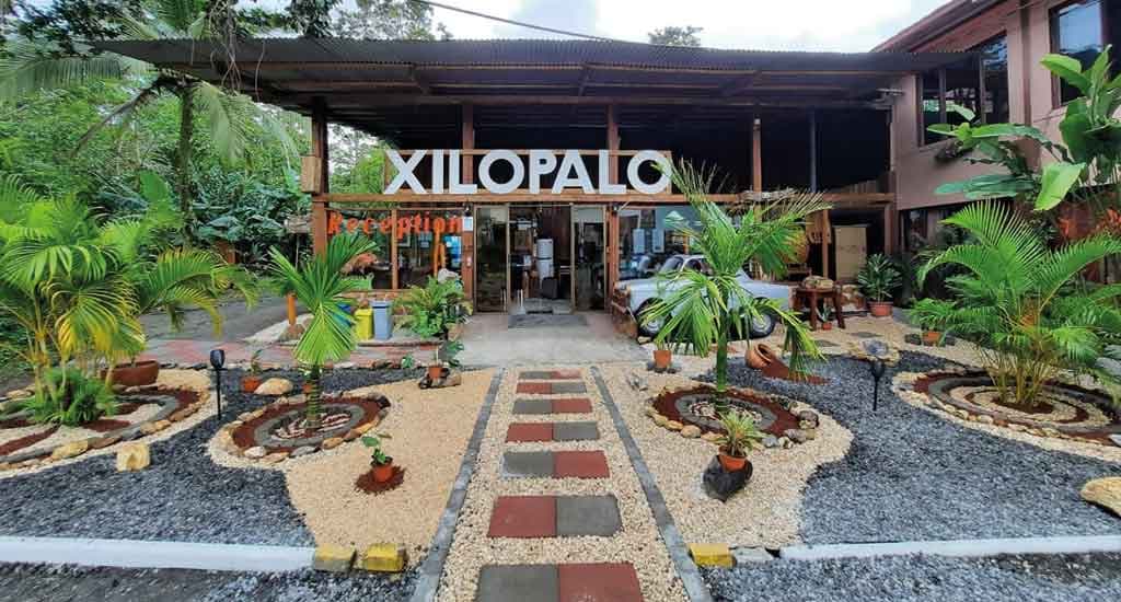 Arenal Xilopalo