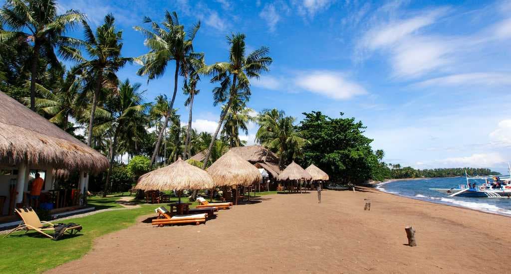 Pura Vida Beach & Dive Resort
