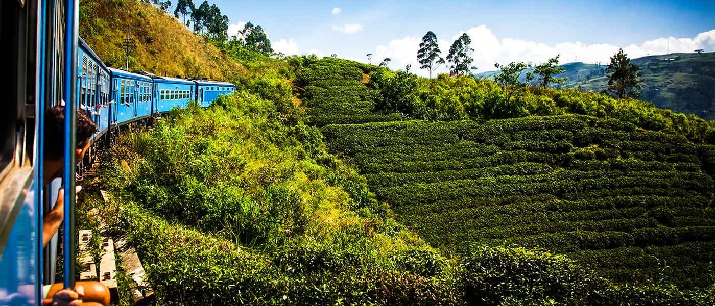 Cosas que hacer en Nuwara Eliya y cómo puedo llegar allí