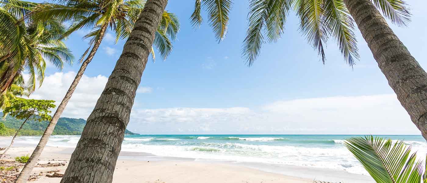 The Ultimate Santa Teresa Travel Guide