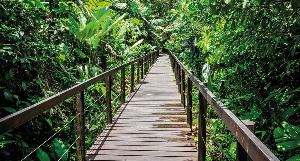 Top 5 national parks in Costa Rica - which ones to visit and how?