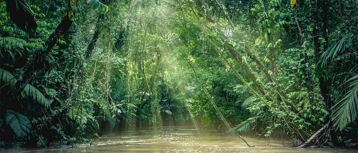 San Jose to Tortuguero