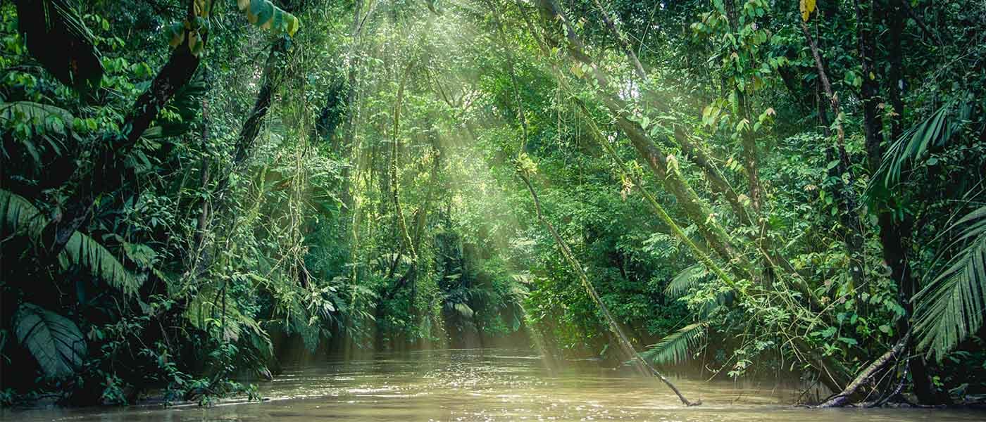 San Jose → Tortuguero
