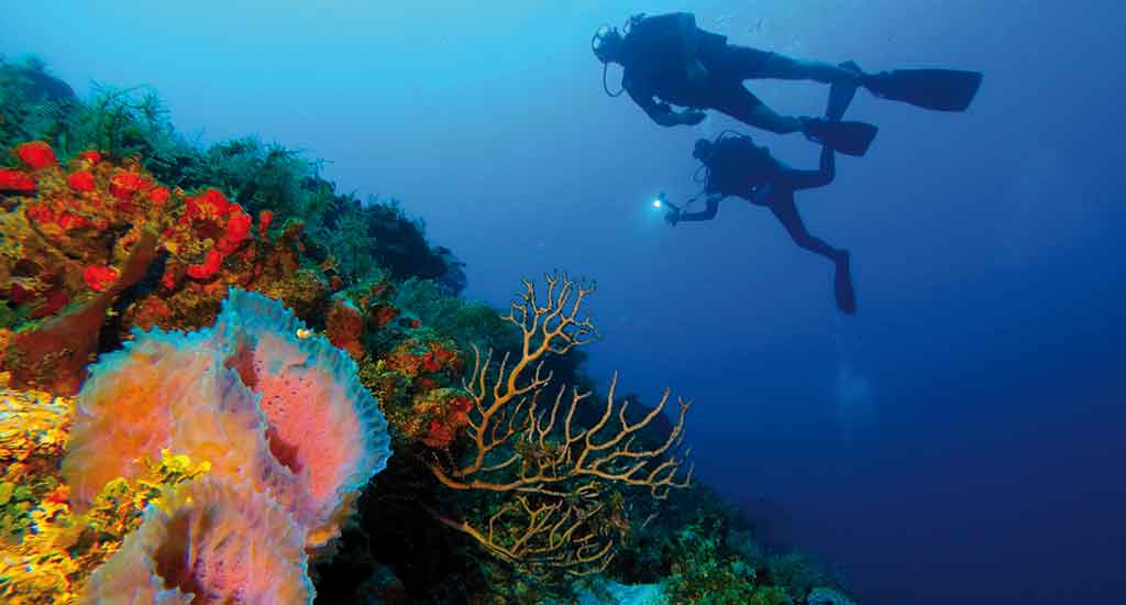 Diving trip in Playa del Carmen Mexico