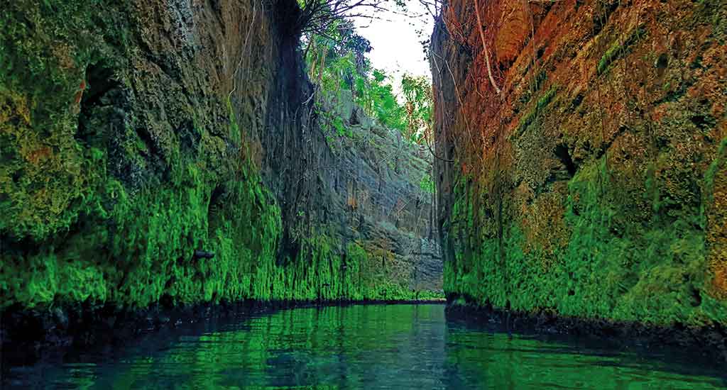 River in Xcaret park Mexico