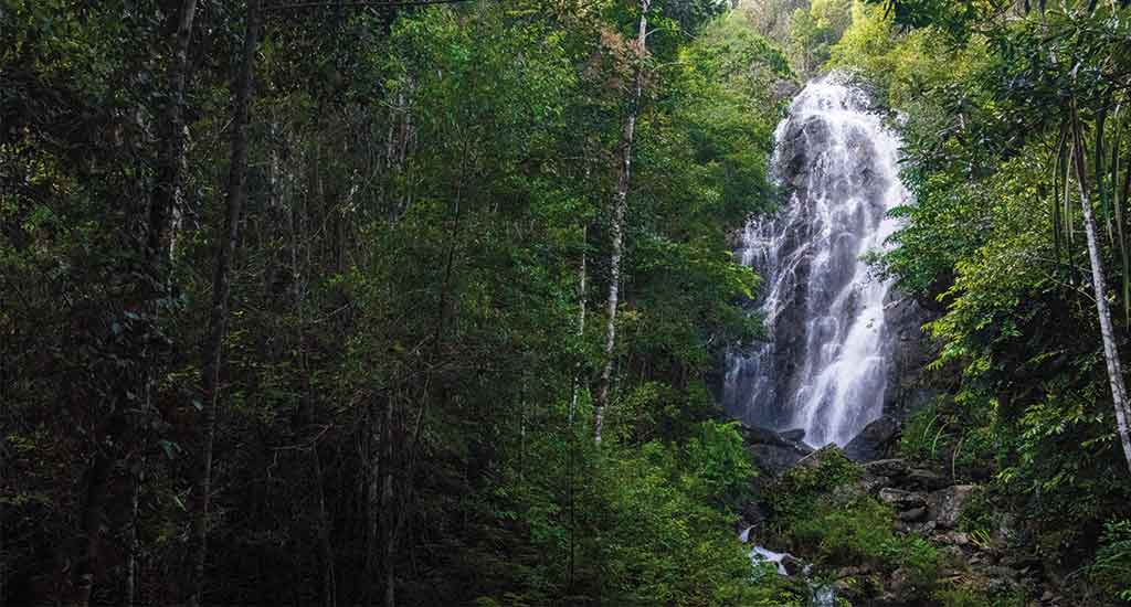 Phaeng Waterfall Koh Phangan
