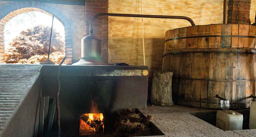 Distillation of Mezcal in Oaxaca City Mexico